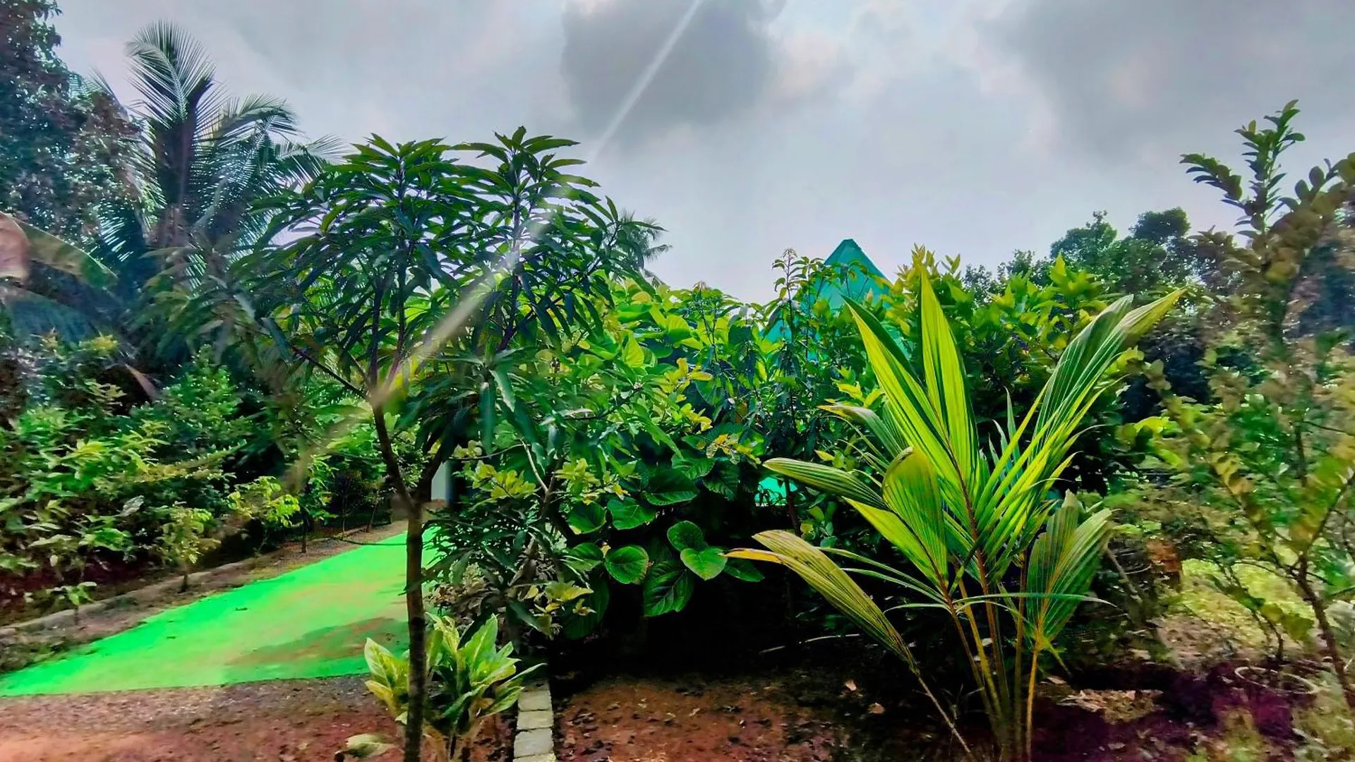 Guava Casa Farm House Alappuzha 0*,