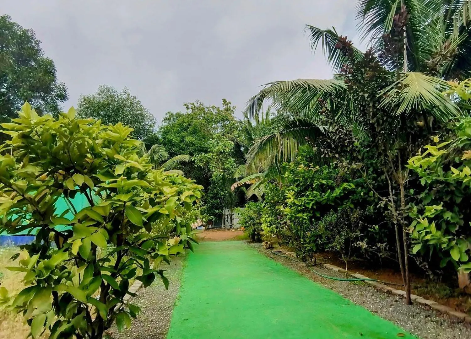 Alappuzha Guava Casa Farm House 0*,  הודו