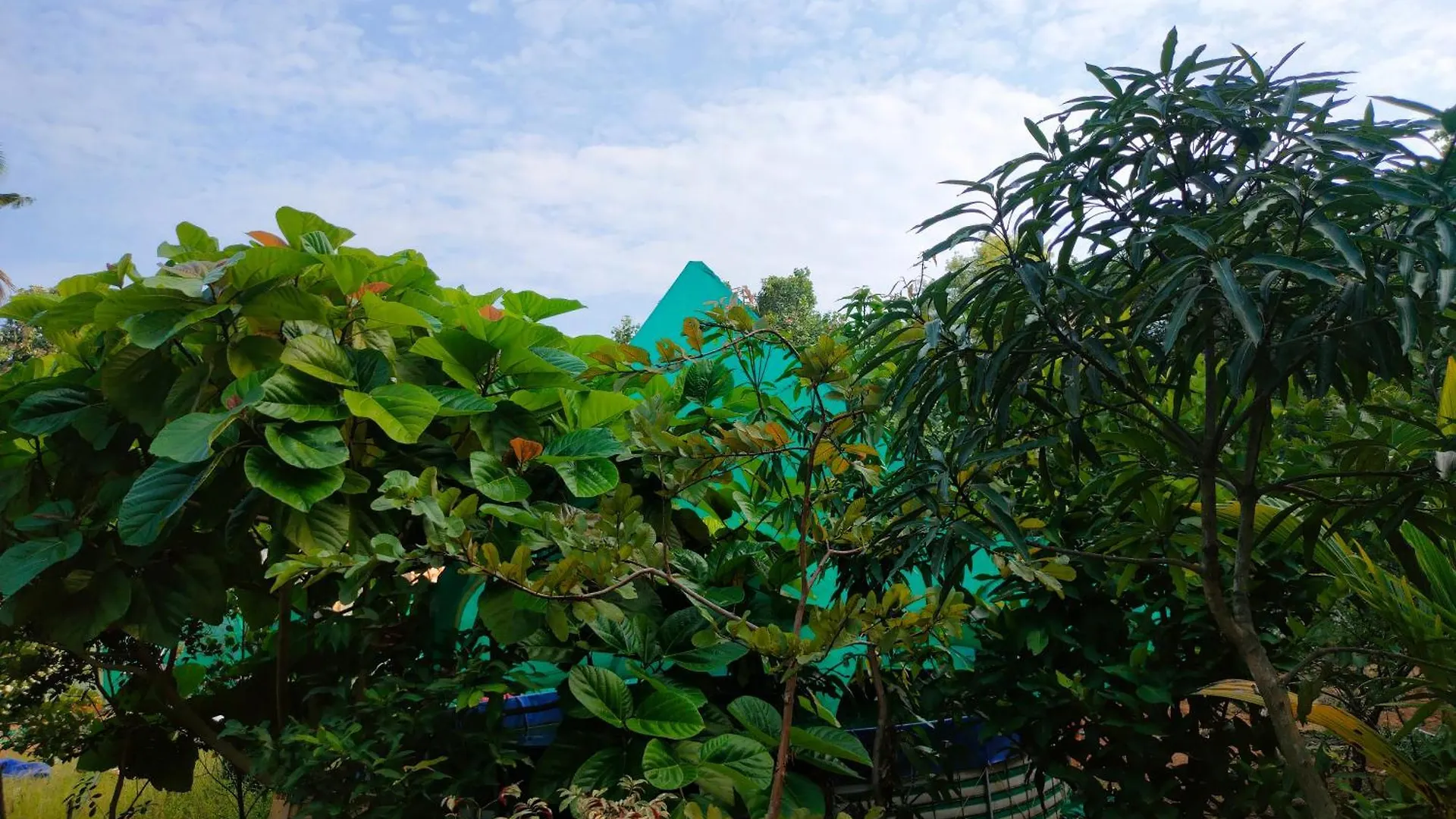 Alappuzha Guava Casa Farm House 0*,