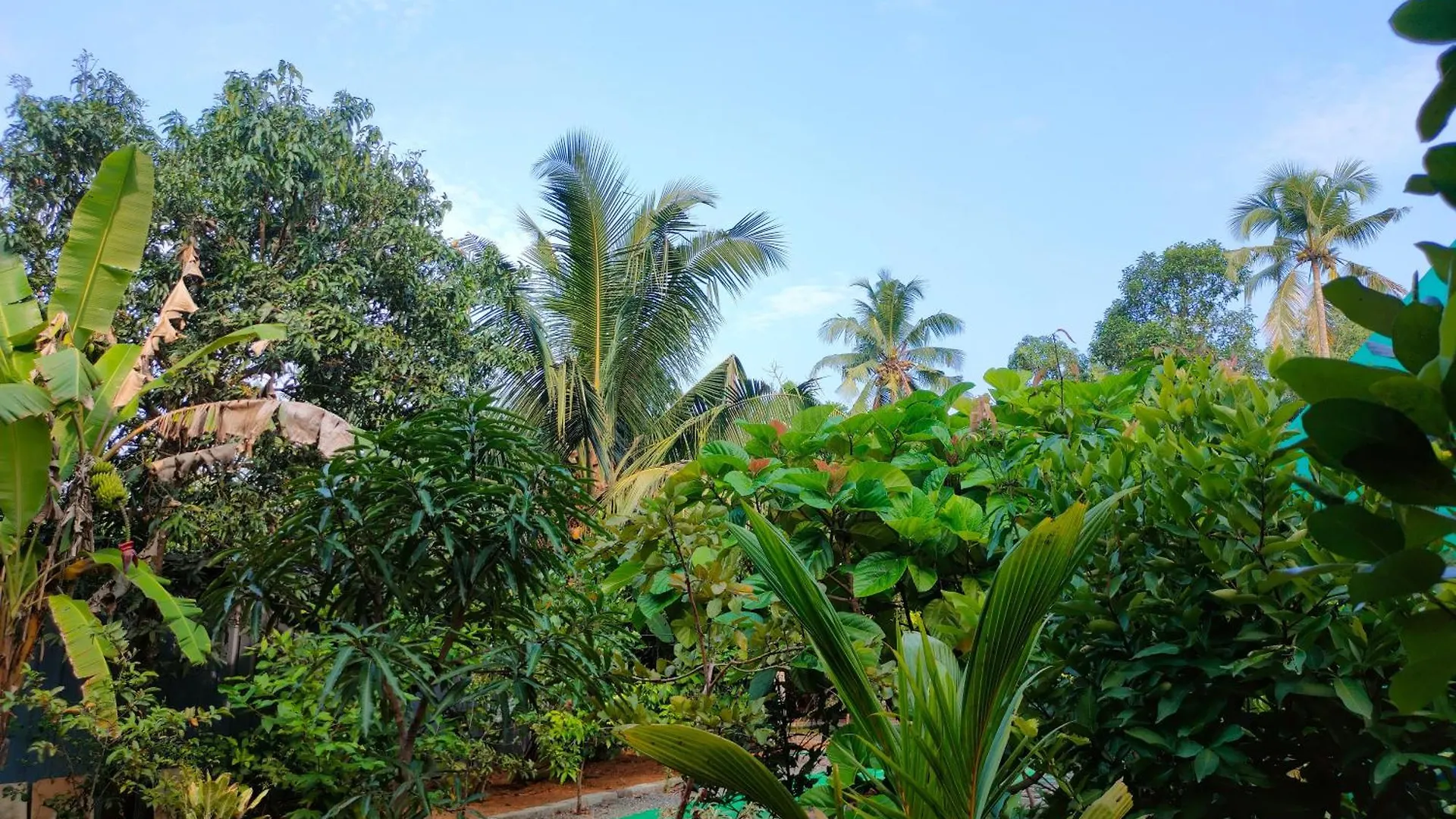 Alappuzha Guava Casa Farm House בית חווה