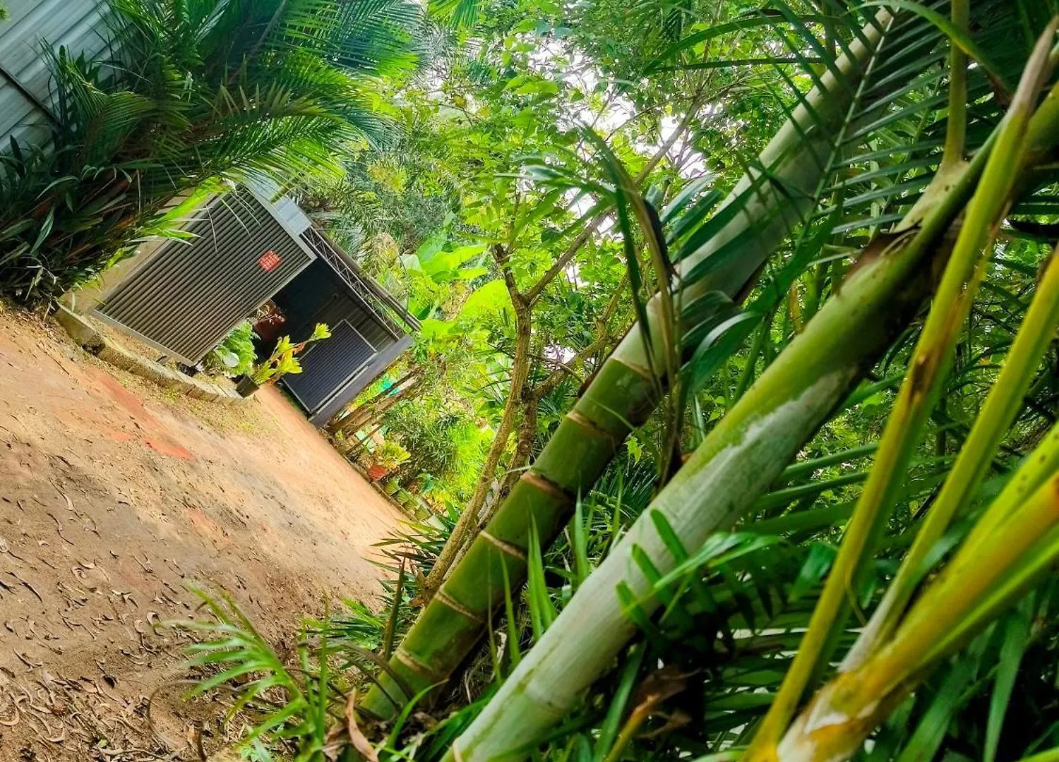 בית חווה Alappuzha Guava Casa Farm House הודו
