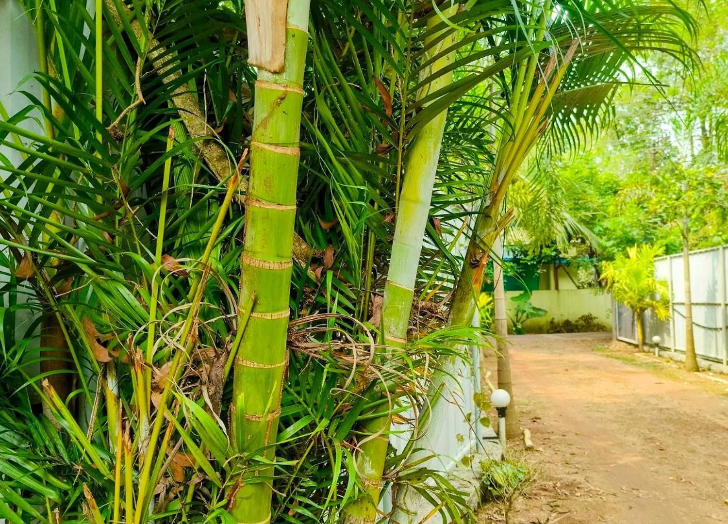 Alappuzha Guava Casa Farm House